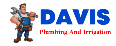 Trusted plumber in JIGGER